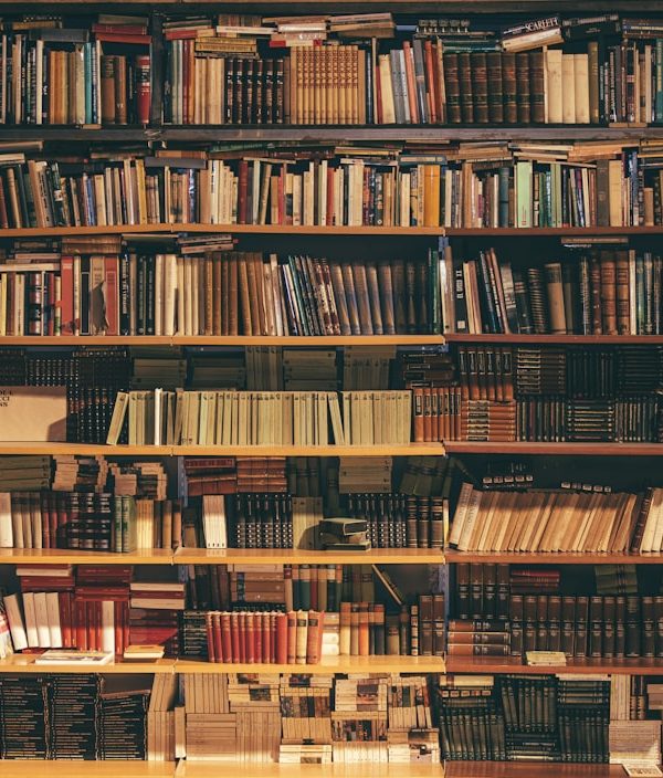 Curated Reading: Neuroscience & Wonder