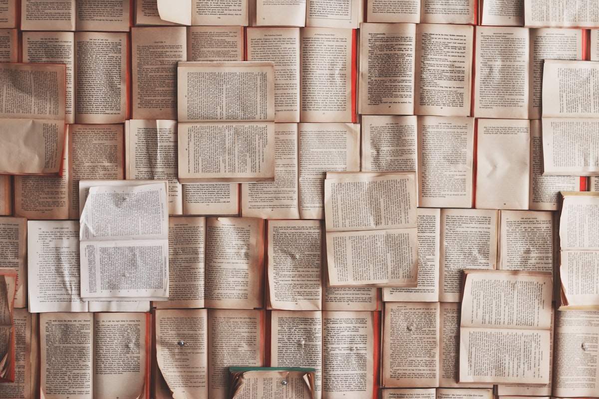 The First Manuscript: A Field Guide to Wonder